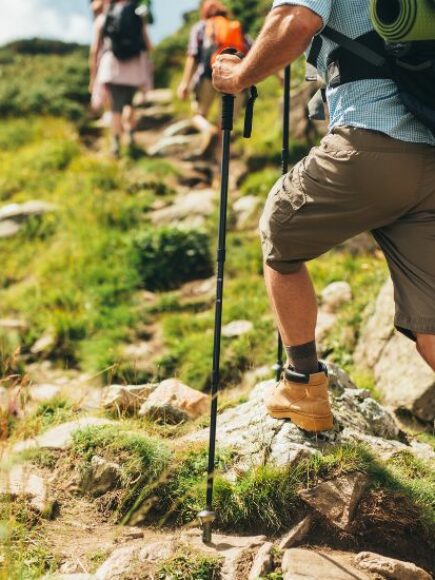 Monitor y Guía de Senderismo + Certificación Experto en Rescates de Montaña – Doble Titulación –