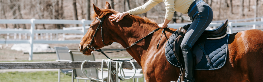 Conoce el equipamiento para equitación y sus beneficios