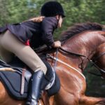 Beneficios de la equitación y diferencias con la hípica