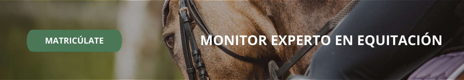 monitor experto en equitación